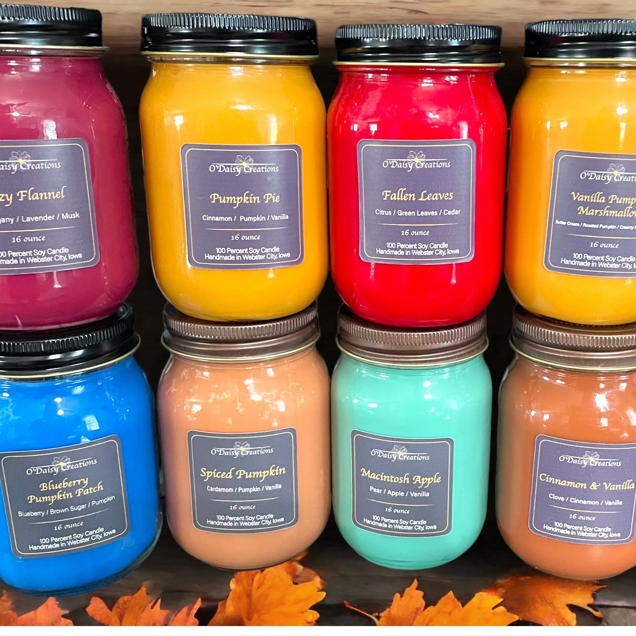 Fall Collection