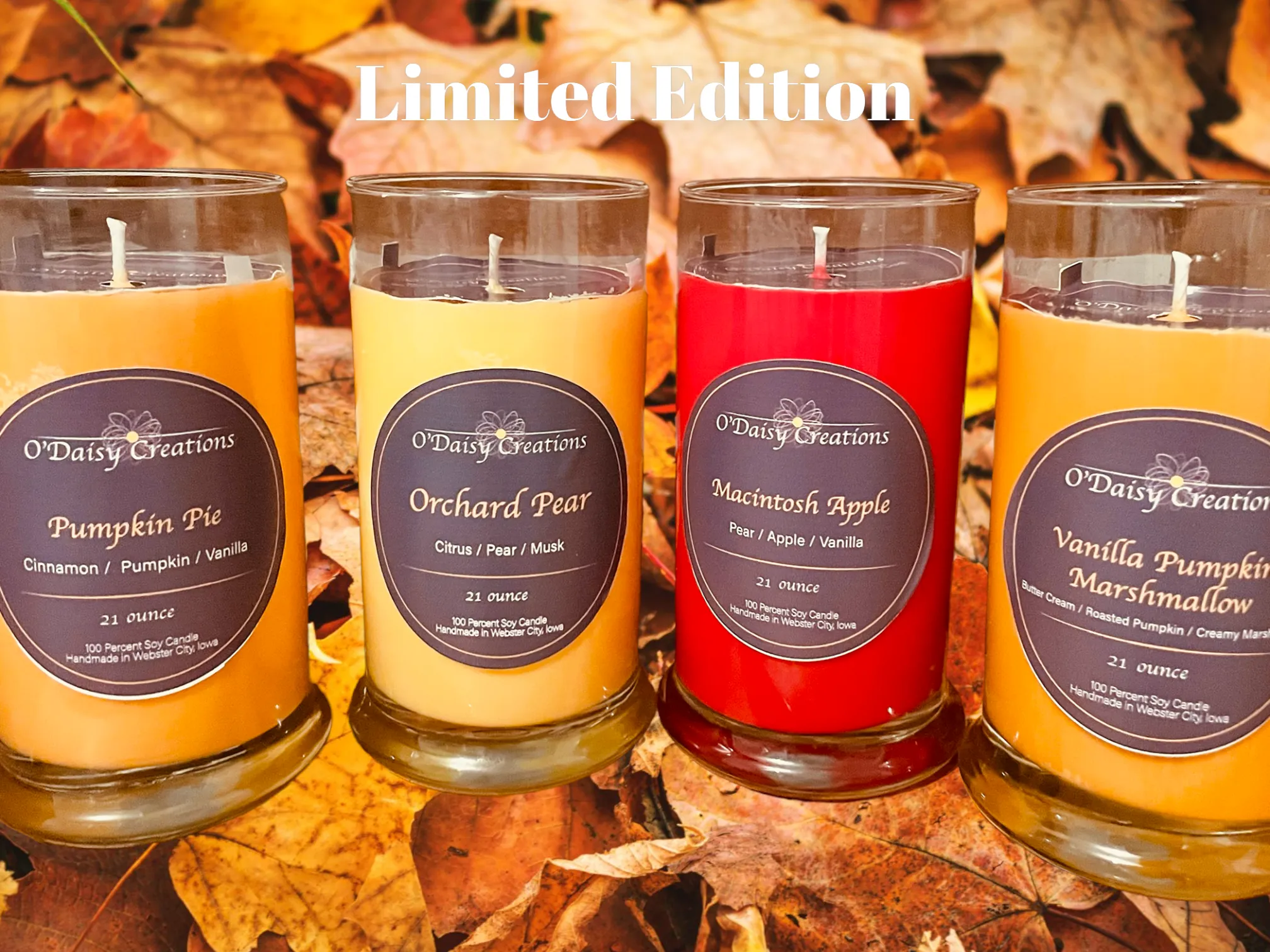 Fall Collection