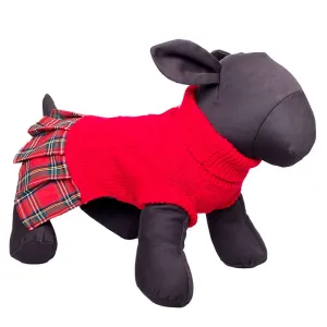 The Worthy Dog Turtleneck Sweater Dress